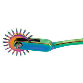 Радужное колесо Вартенберга Fetish Collection Rainbow Single Pinwheel