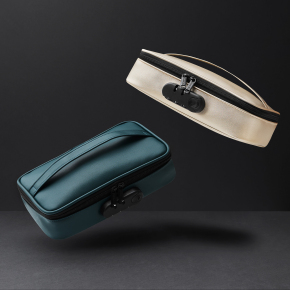 Сумочка для хранения секс-игрушек Discreet Box Luxury Green