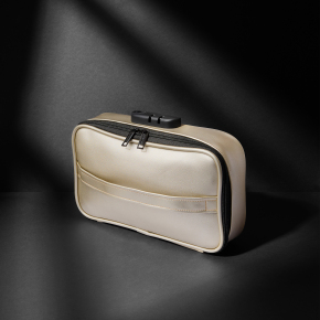 Сумочка для хранения секс-игрушек Discreet Box Luxury Gold