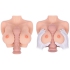 Kokos Titties D &mdash; мастурбатор-полуторс с пышным бюстом