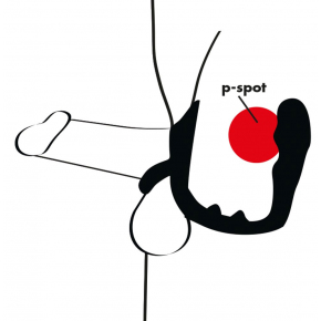 Эрекционное кольцо с подхватом мошонки и анальным отростком для воздействия на простату