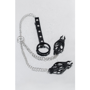 Зажимы для сосков с кольцом для пениса