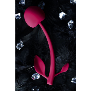 Вагинальная вишенка JOS Wild Cherry