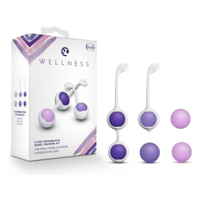 Комплект вагинальных шариков Kegel Training Kit