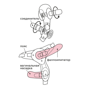 Пояс-трусики с 2 насадками Exotic-Linda