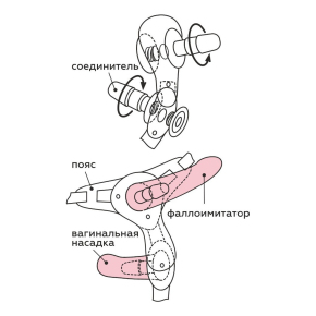 Пояс-трусики с 2 насадками Exotic-Sara
