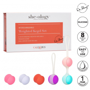 Набор вагинальных шариков со сменным грузом She-ology Weighted Kegel Set