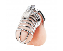 Металлическая клетка BlueLine Deluxe Chastity Cage с замком