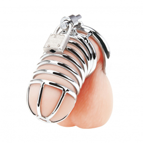 Металлическая клетка BlueLine Deluxe Chastity Cage с замком