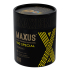 Текстурированные презервативы в кейсе Maxus Special, 100 шт.
