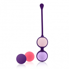 Оболочка с 4 сменными шариками Pussy Playballs
