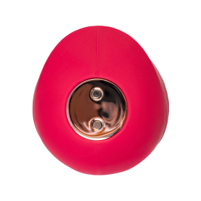 Вакуум-волновой стимулятор клитора Flovetta Birdie