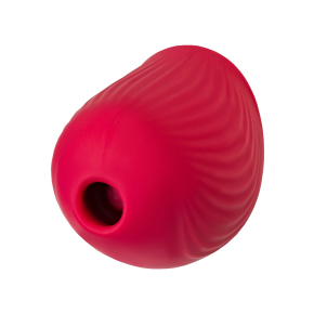 Вакуум-волновой стимулятор клитора Flovetta Birdie